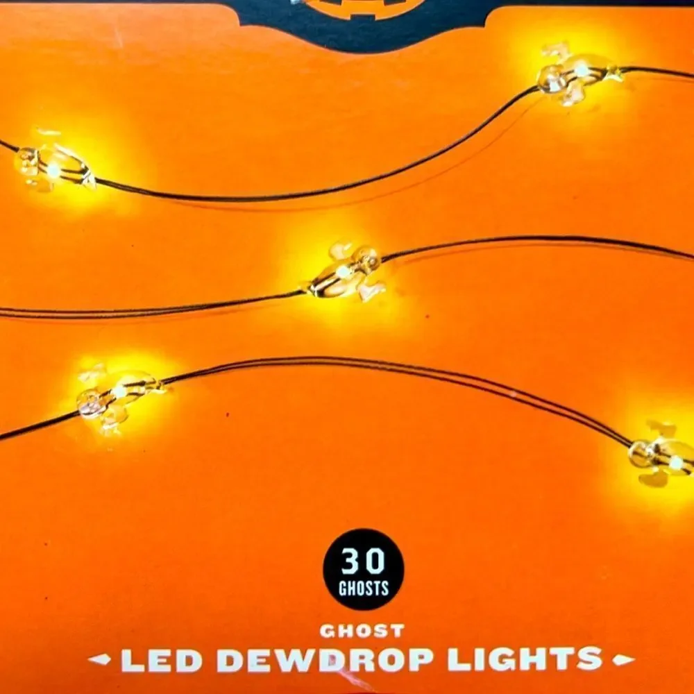 Hyde and Eek Indoor LED Ghost Dewdrop Lights
